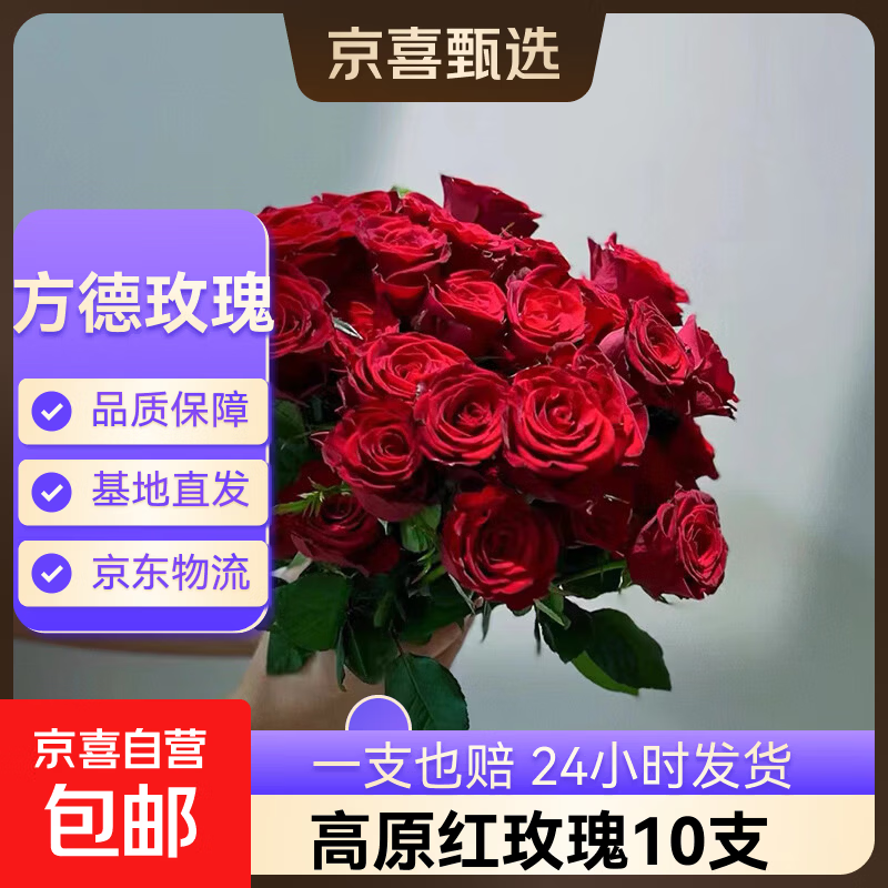 【方德玫瑰】云南鲜花基地直发玫瑰花鲜切38妇女节女神节生日礼物 品牌40-50cm高原红10支