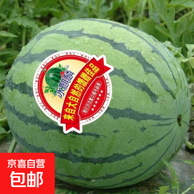 夏日必买麒麟西瓜安徽砀山精品爆汁西瓜 一个装-净重5-7斤