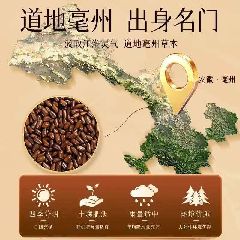 同仁堂（TRT）特级豪州决明子养肝护肝清肝明目养生正宗精选大粒无硫  养生常备 特级决明子名目润肠 300g*4罐 精选大颗粒决明子