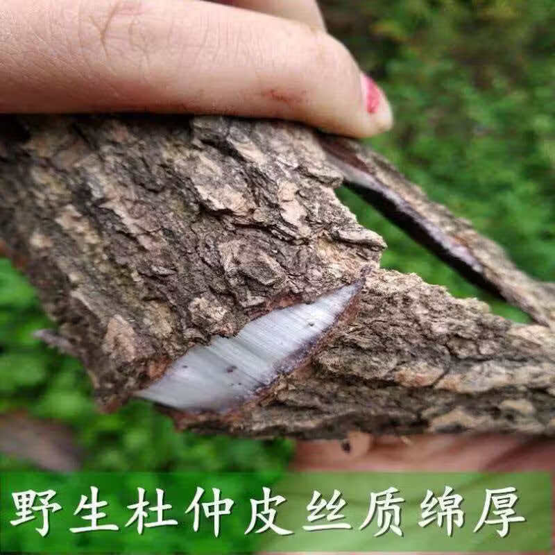 同仁堂（TRT）特级野生杜仲皮中药材正宗精选老树杜仲新货正品杜仲泡酒泡水煲汤 极品杜仲 180g*4罐 超值款