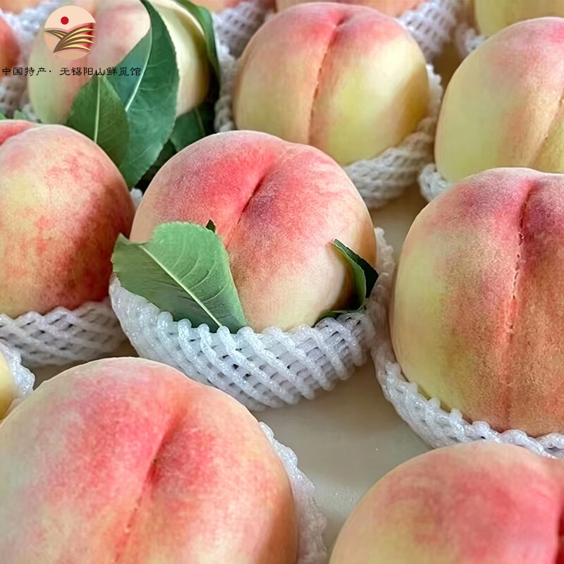 阳山水蜜桃 正宗无锡阳山水蜜桃 时令水果桃子 节日端午礼盒送礼 一级果4-5两12个礼盒净重4.8斤多