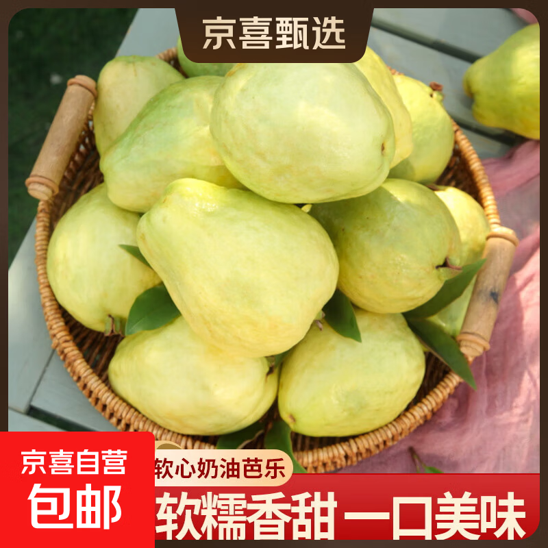 福建奶油白心芭乐水果软糯脆甜两吃番石榴新鲜直采 带箱2斤