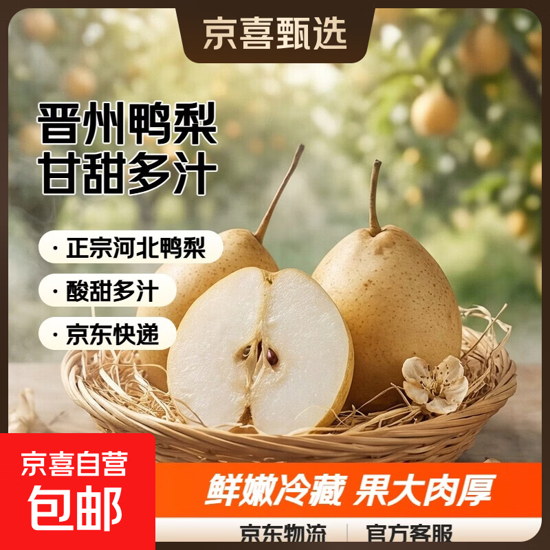 鸭梨河北泊头鸭梨之乡甘甜可口汁水充盈新航线 带箱4.5斤净重4斤+单果200g+