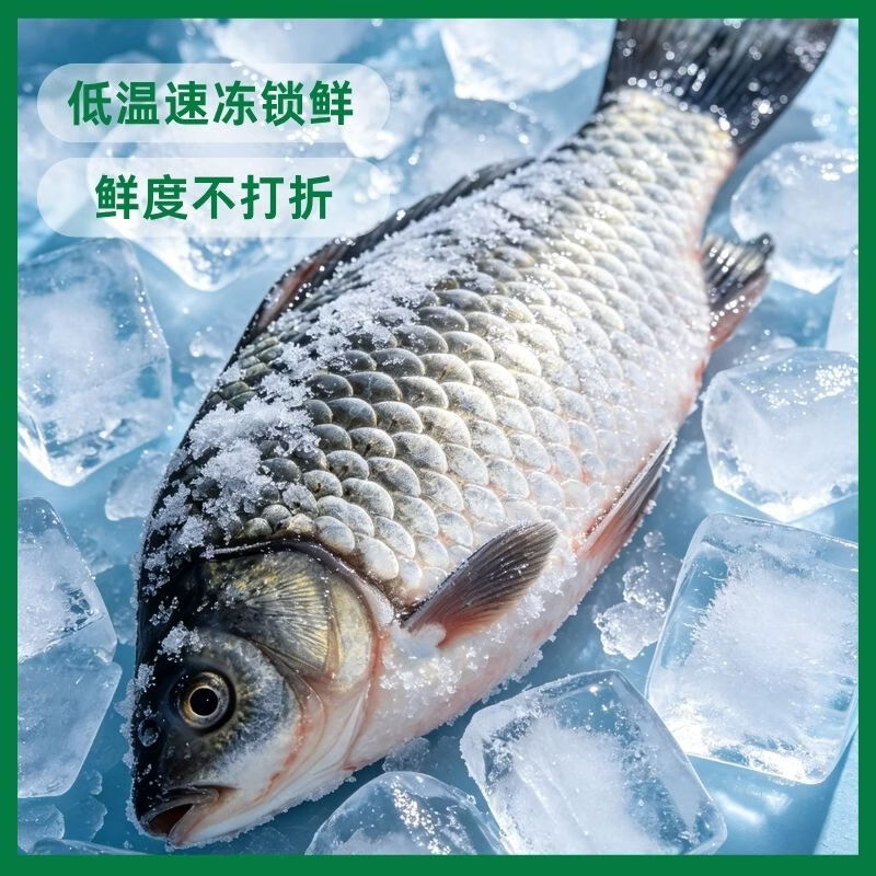 昆仑纪新疆海鲜阿勒泰野生鲫鱼有机大鲫鱼去鳞去内脏冷水鱼顺丰发货 阿勒泰野游银鲫1000-1100g/条 3条装