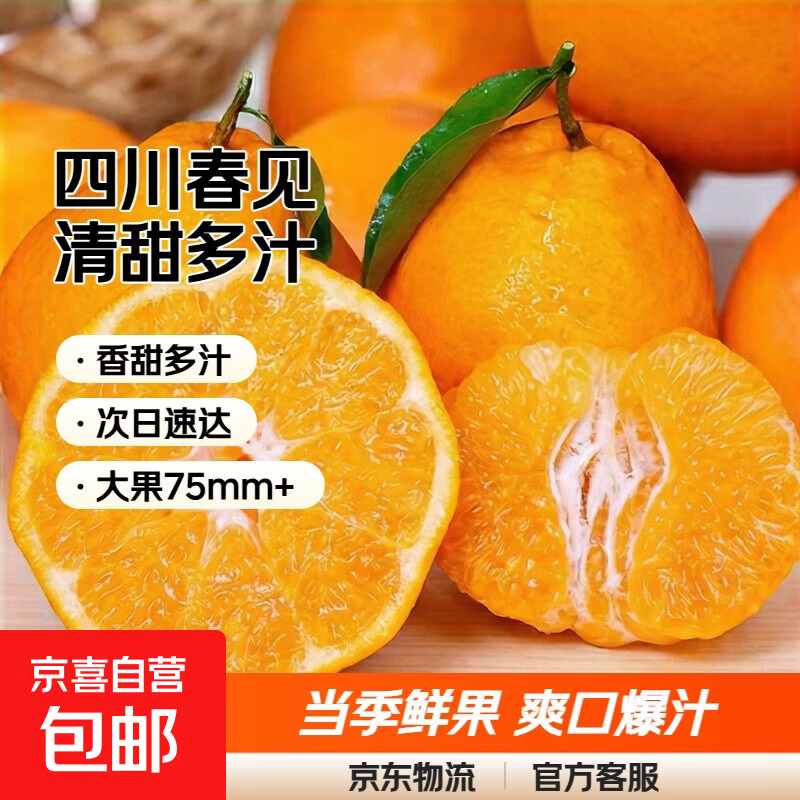 四川粑粑柑【多地】香甜多汁清甜爽口当季耙耙柑橘子桔子 带箱2斤【净重1.6斤】中果65mm+