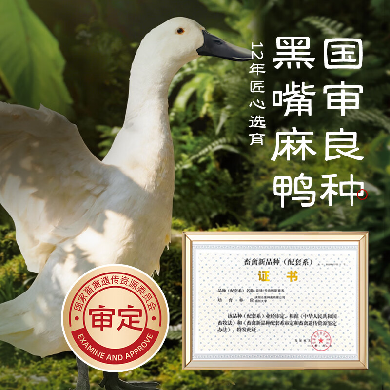 益客黑嘴麻鸭1kg煲鸭汤 烤鸭食材 冷冻 新鲜鸭肉食材 1KG