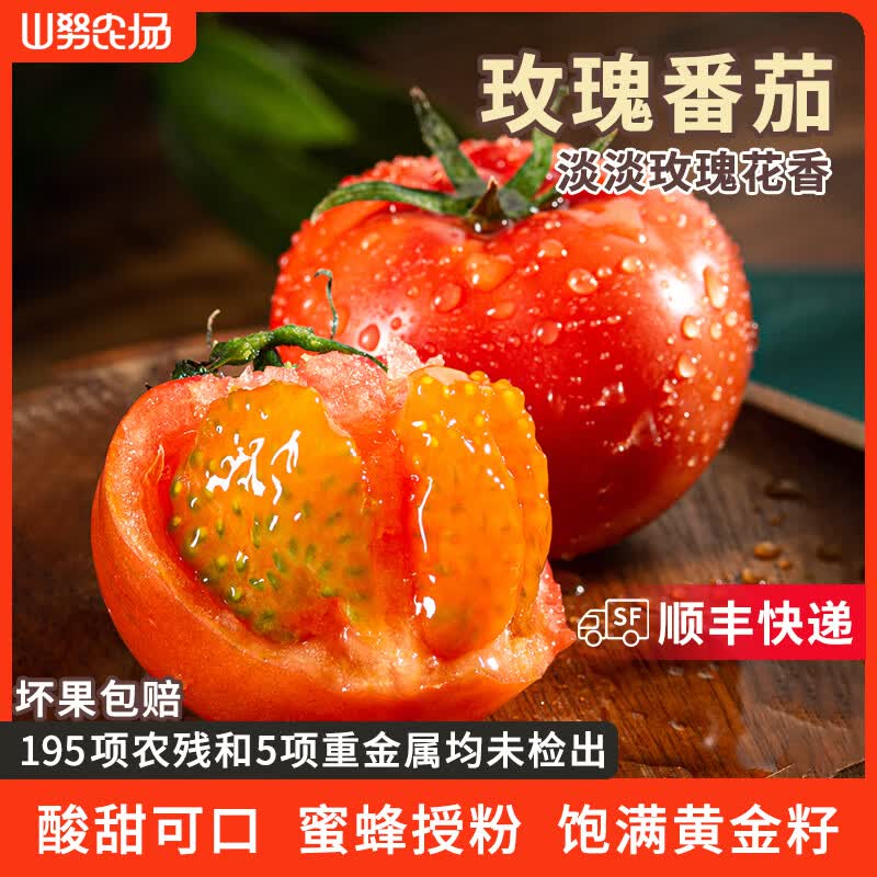 山努农场玫瑰番茄水果自然熟草莓西红柿多汁新鲜小柿子 玫瑰番茄中果 单颗50g+ 4斤