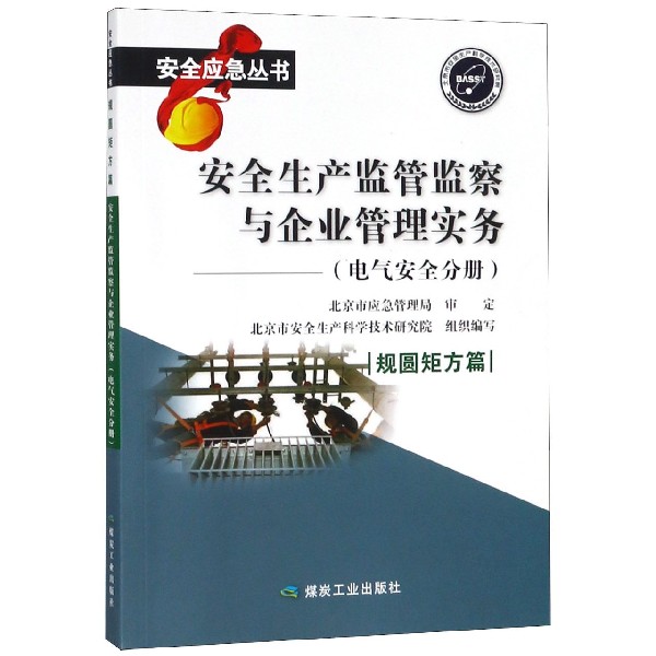 安全生产监管监察与企业管理实务--电气安全分册/安全应急丛书