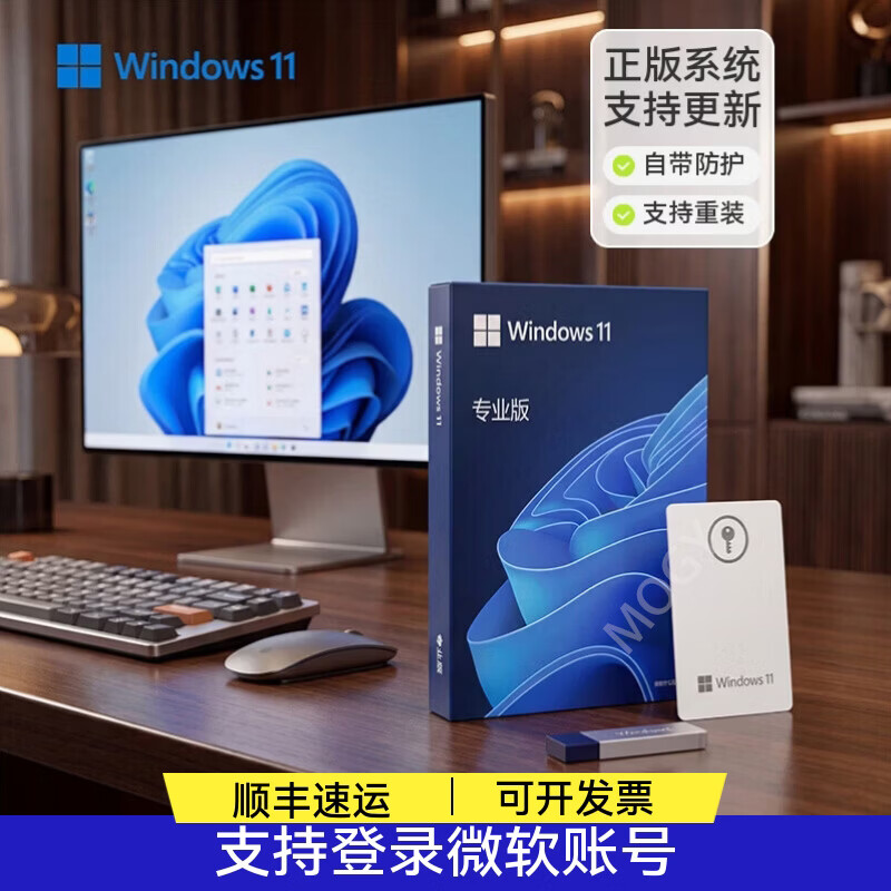 正版win11专业版系统u盘重装Windows10家庭中文版升级Pro纯净指导 win11专业版-中文简体USB（可激活一台）