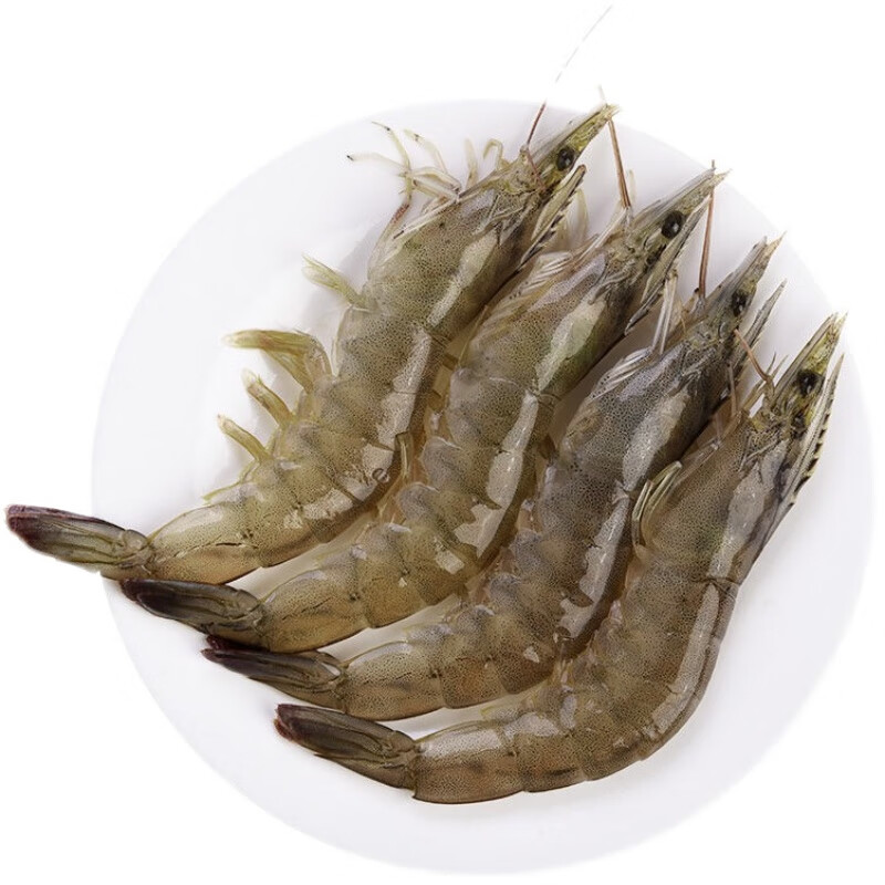 皓谦青虾新鲜国产大虾鲜活速冻青岛基围虾大对虾烧烤火锅食材 8斤装