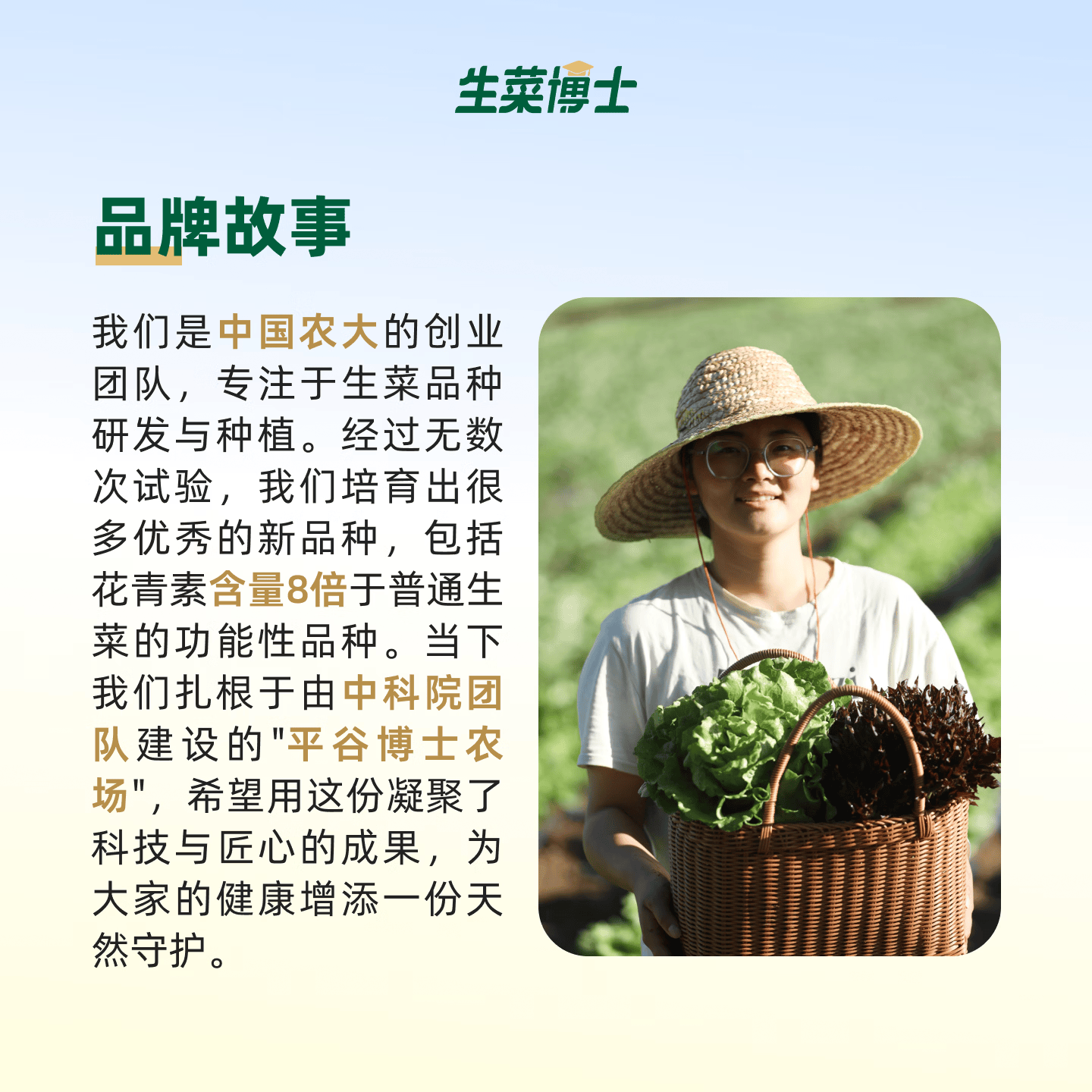 生菜博士 生菜组合(3-5种生菜) 富含维E 花青素 GABA氨基丁酸 现采现发 2斤