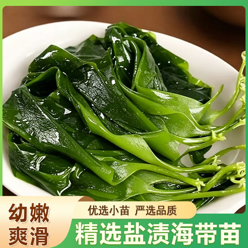 有机海带苗 霞浦产地 嫩苗新鲜盐渍 凉拌火锅食材 产地直发 【有机】海带苗500g*2袋