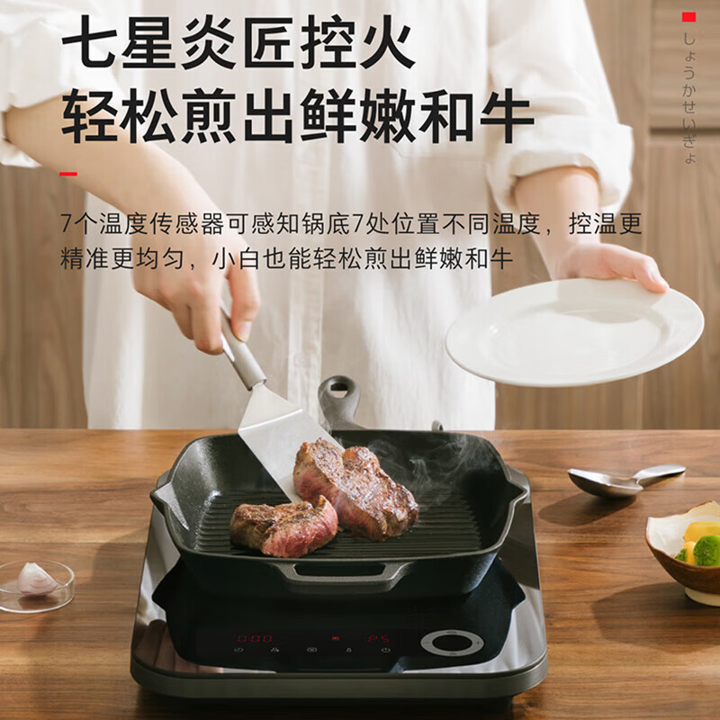 东芝（TOSHIBA）炎匠电磁炉电磁灶7星控温家用大功率猛火爆炒 10重安全保护 触控面板低温烹饪一键定时政府补贴 IC-21RUC(炎匠)