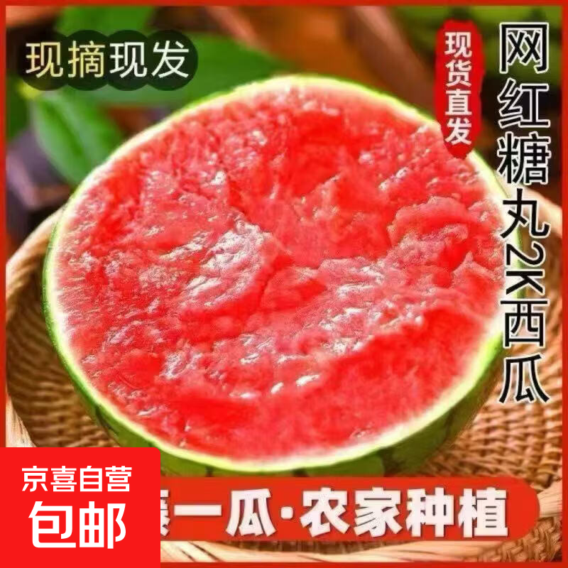 全聚德臻品粽礼端午礼盒1400g到手39.9元