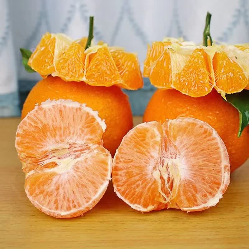 松林美果现摘现发四川青见果冻橙新鲜孕妇水果酸甜口感新鲜发货净重4.5斤