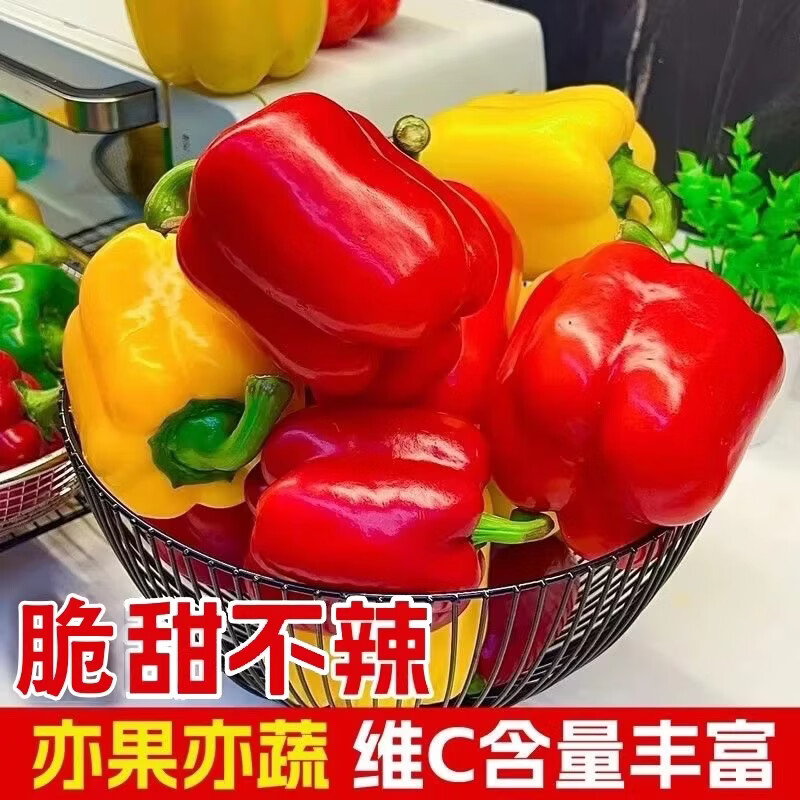 山东五彩甜椒生吃水果彩椒圆椒红椒黄椒七彩甜椒沙拉新鲜蔬菜 山东彩椒红+黄净重5斤