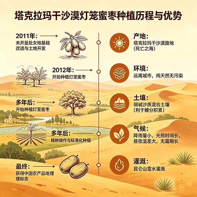 亚通古孜新疆和田大枣一级红枣礼盒灯笼蜜枣 免洗孕妇老人补气血健康零食 灯笼蜜枣一级果260克