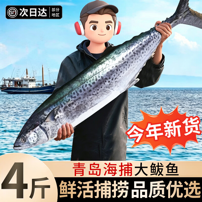 百库青岛海捕大鲅鱼整条 新鲜马鲛鱼燕鲅鱼海鲜礼盒礼品 鱼类生鲜 整条鲅鱼4-4.5斤