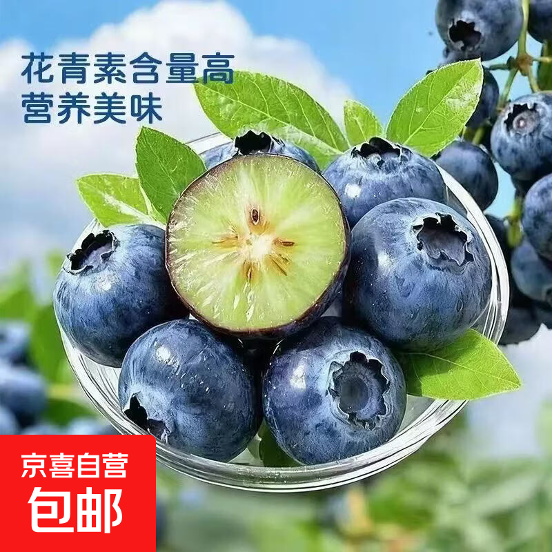 现摘新鲜蓝莓 当季水果 头茬脆甜多汁 泡沫箱400g（净重350g） 单果直径15＋