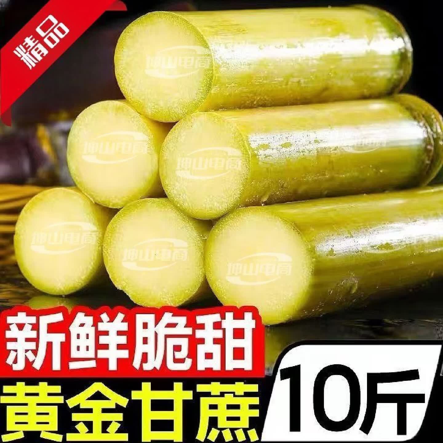 【彩箱9斤】云南黄金甘蔗批发新鲜当季现砍孕妇水果中段黄皮甜 彩箱+赠品【正宗黄金甘蔗】小裂早期口感清甜型 实惠带箱9一10斤【节长8cm左右】不送刀