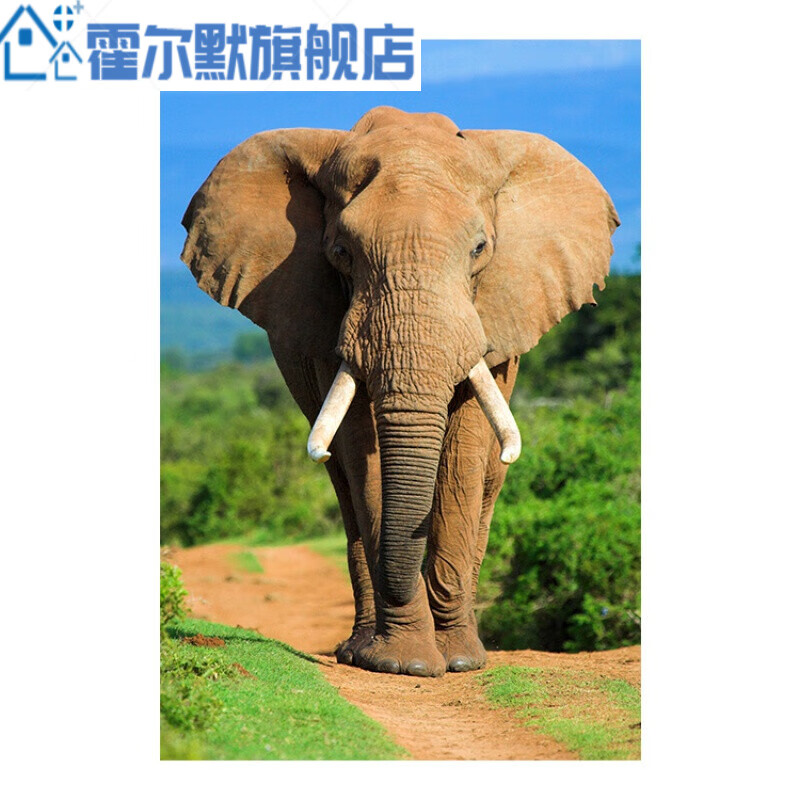 兑树动物图案客厅卧室餐厅墙贴画壁画自粘现代装饰画海报画像 大象 高