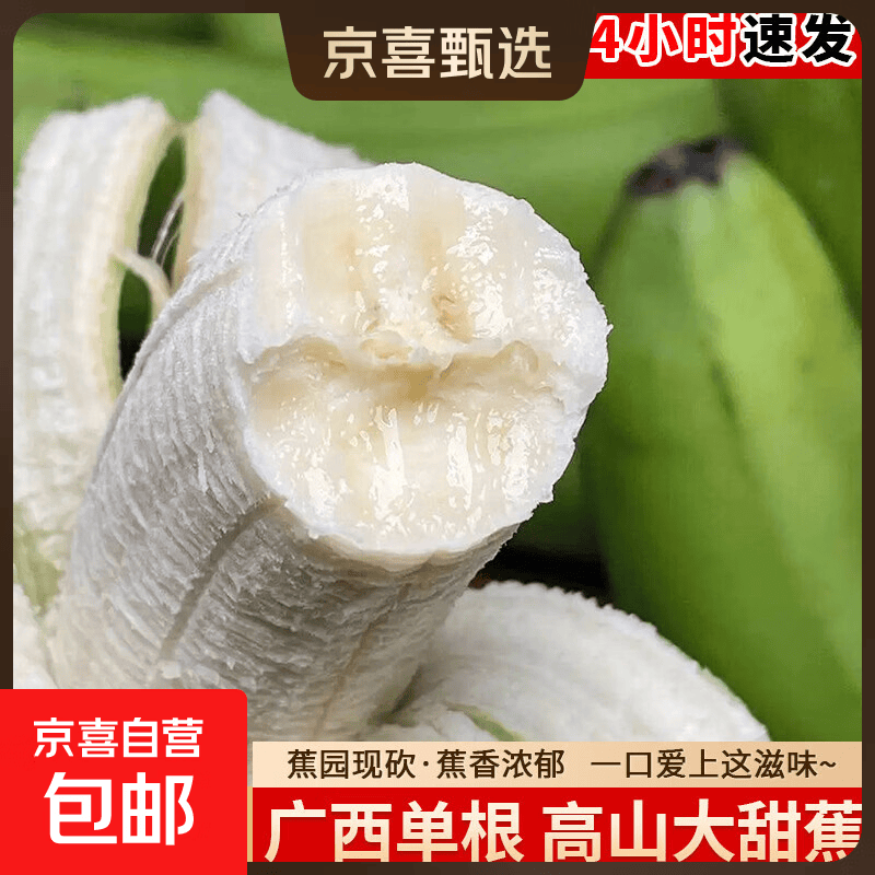 京喜加高山香蕉单根甜蕉现摘一把青皮香蕉营养辅食青蕉发货 带箱2斤装