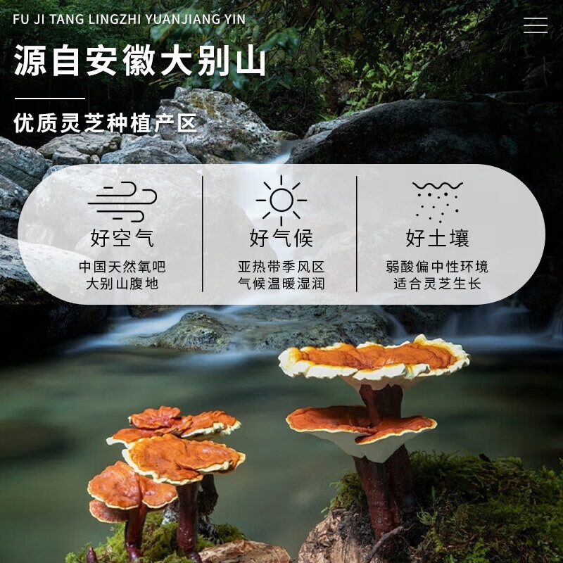 茯济堂（FUJITANG）灵芝原浆饮300ml精萃浓缩口服液营养滋补品送老人长辈礼盒 【送礼推荐】 300ml*2盒 +礼袋