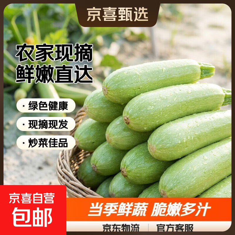 新鲜西葫芦山东农家自种现摘现发当季绿色蔬菜 角瓜 西葫芦 1.8斤 净重