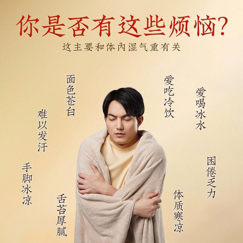 关德兴香港寶芝林陈皮姜米茶大枣葛根山药湿寒秋冬三伏天养生泡水喝 40包*2盒
