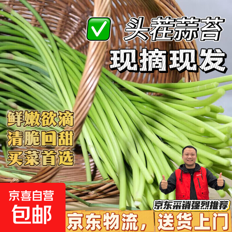 京喜自营农家自种蒜苔生鲜蔬菜超市同款即食蒜苔超市批发买菜首选 新鲜河北蒜苔净重1.8斤