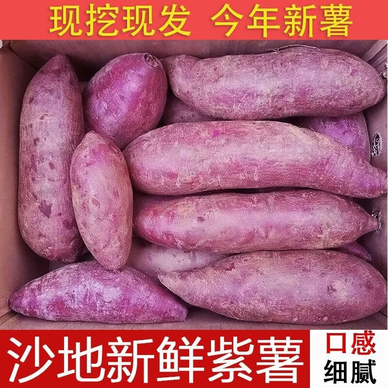 春公子正宗紫薯新鲜紫罗兰香甜软糯健康即食番薯紫心地瓜减脂 优质沙地紫薯【紫罗兰】 带箱小果9斤装(净重8.5斤)