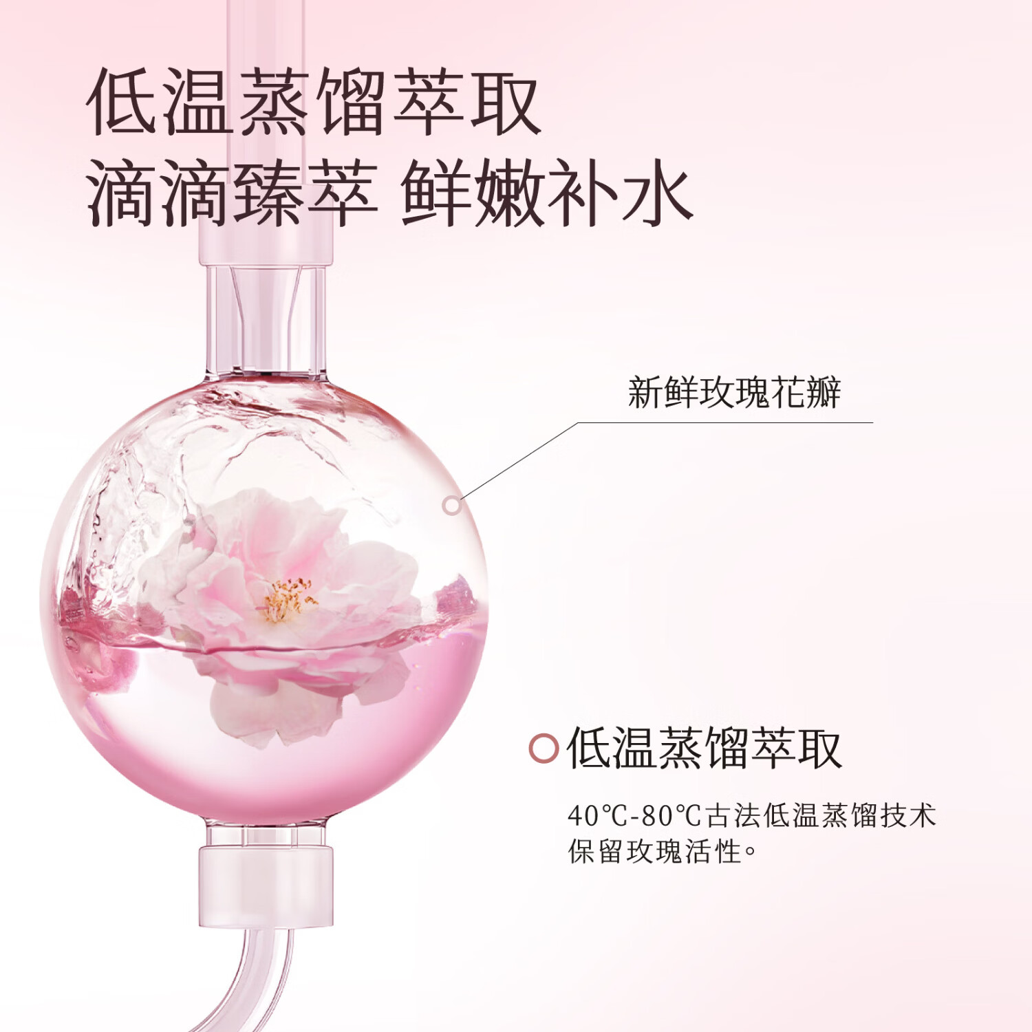 半亩花田玫瑰花水补水保湿爽肤水精油花苞水湿敷滋润 【1000ml】玫瑰花水500ml*2