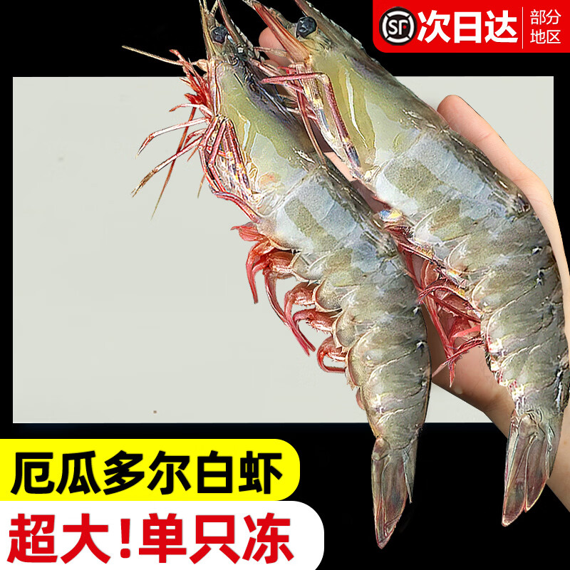 东上御品 厄瓜多尔白虾 盐冻超大号3斤 南美白虾青虾 生鲜 虾类 海鲜 3斤(净重)  【单只冻】16-17cm