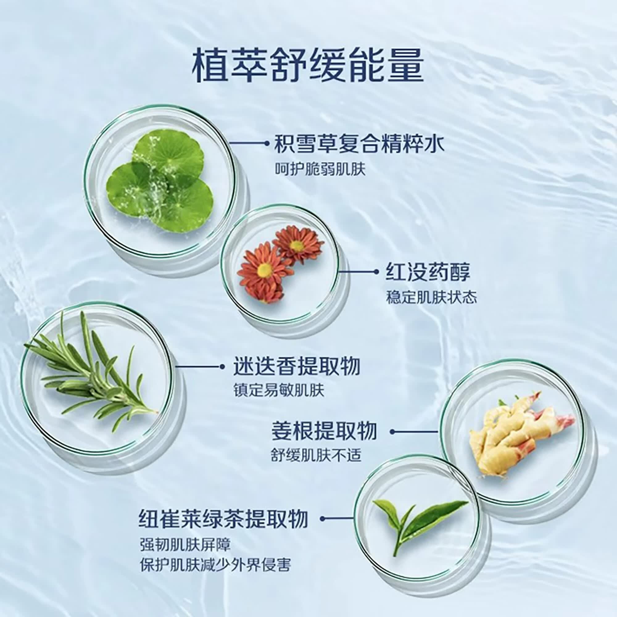 安利(Amway)安利止汗露止汗走珠露腋下去汗味除臭舒护走珠香体止汗男女滚珠 两瓶