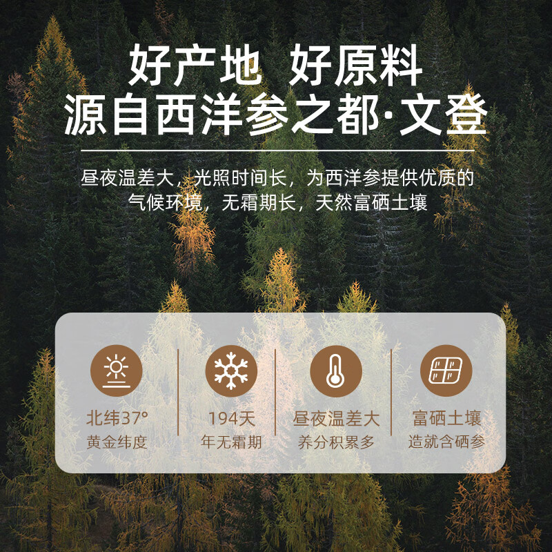 中甄道地西洋参礼盒文登西洋参切片滋补礼品送父母长辈中老年人抗疲劳佳品 16mm 65g*2罐 亚克力礼盒装
