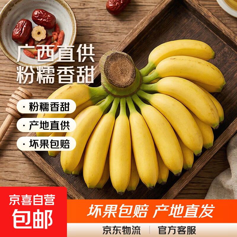 京喜加正宗广西小米蕉产地直供粉糯芭蕉水果皇帝蕉坏果包赔翕果13 小米蕉 带箱9斤净重8.3斤