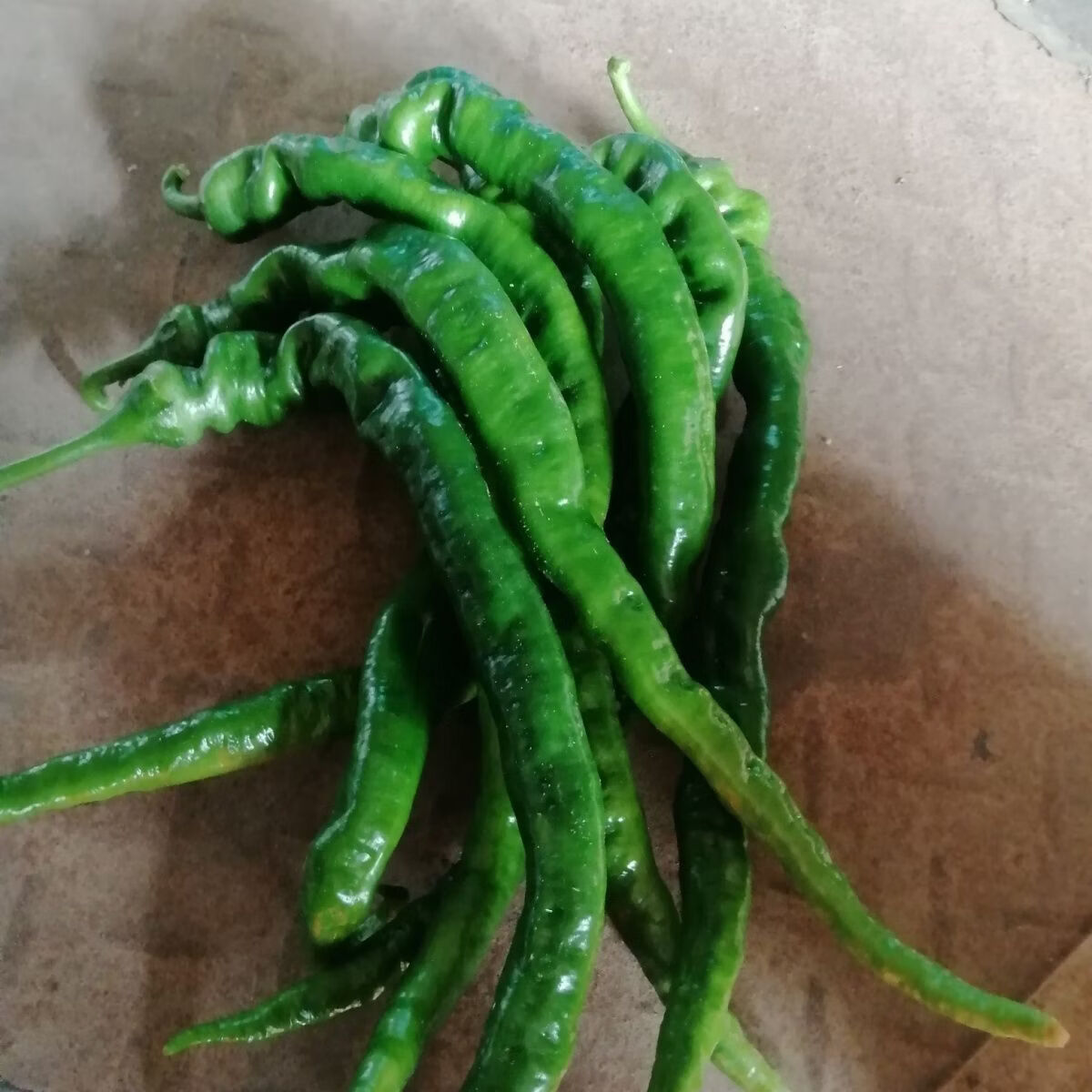 【云南螺丝椒】青辣椒现摘薄皮微辣生鲜蔬菜彩椒辣椒辣椒 带箱3斤