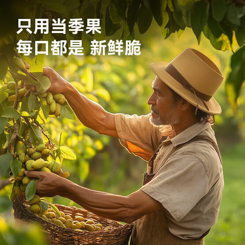 碧根果新货大颗粒薄壳易剥长寿果山核桃健康坚果零食追剧年货必备 【臻选装】250克/袋