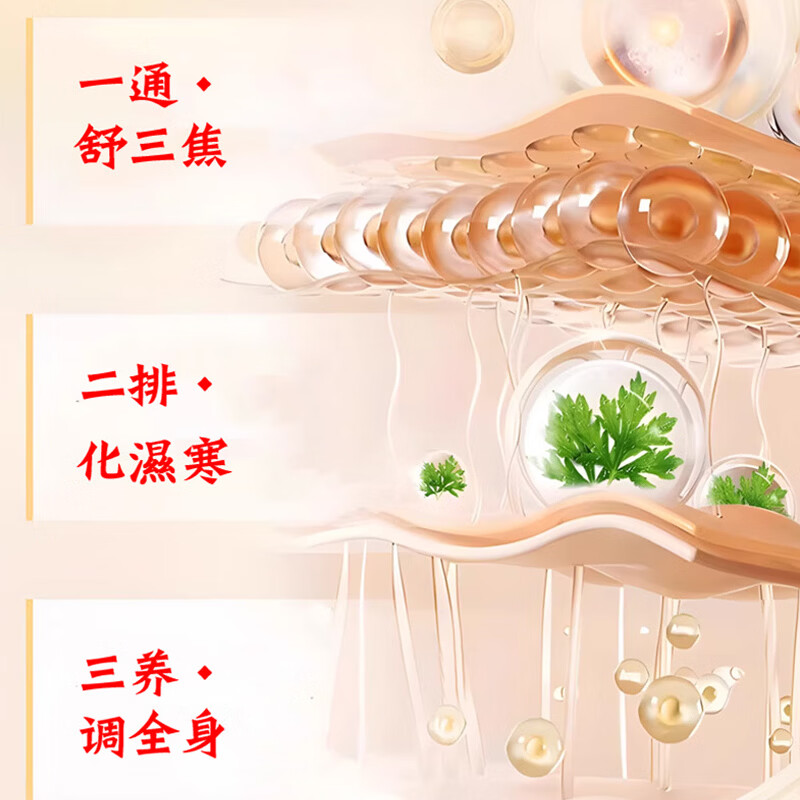 同仁堂（TRT）吴茱萸肉桂足贴艾草贴艾叶生姜养生睡眠贴三伏脚贴祛湿驱寒排毒贴 吴茱萸肉桂足贴*2盒