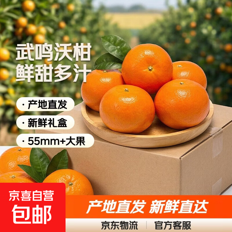 正宗广西武鸣沃柑耙耙柑 新鲜丑橘礼盒砂糖橘生鲜水果产地直发 沃柑带箱1斤/55mm+