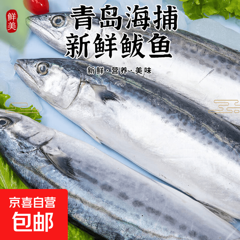新鲜捕捞青岛大鲅鱼蓝点马鲛鱼渤海燕尾鲐鲅鱼净重无冰衣 5斤【8条装】
