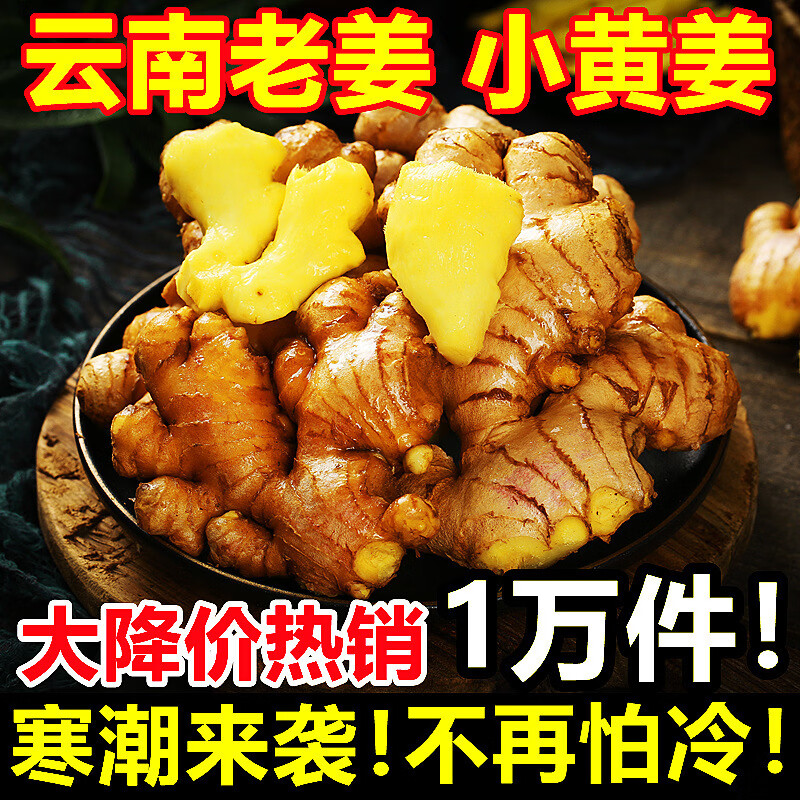 豔疅正宗云南小黄姜老姜农家精选品当季新鲜大生姜原产地直销美味直达 净重【5斤】新鲜采挖|小黄姜