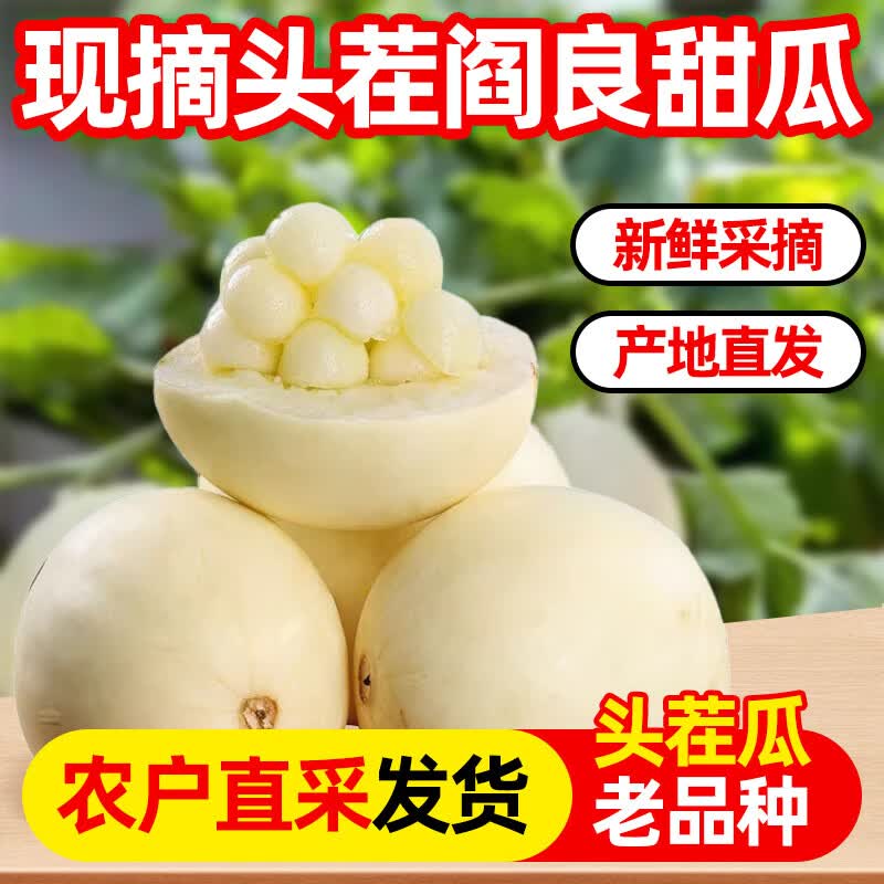 好柿抱抱现摘现发陕西阎良甜瓜新鲜水果当季头茬白皮香瓜蜜瓜脆甜 陕西阎良甜瓜 净重4.5斤-5斤 3-6枚