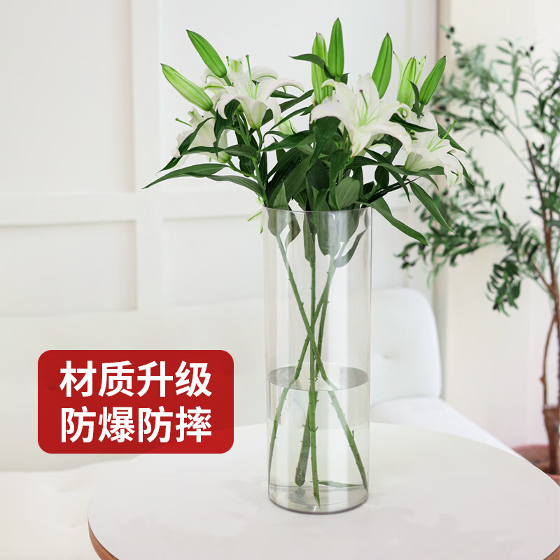 溥畔亚克力防摔花瓶水养水培插花富贵竹透明直筒亚克力鲜花装饰客厅小 口径20CM高度40CM