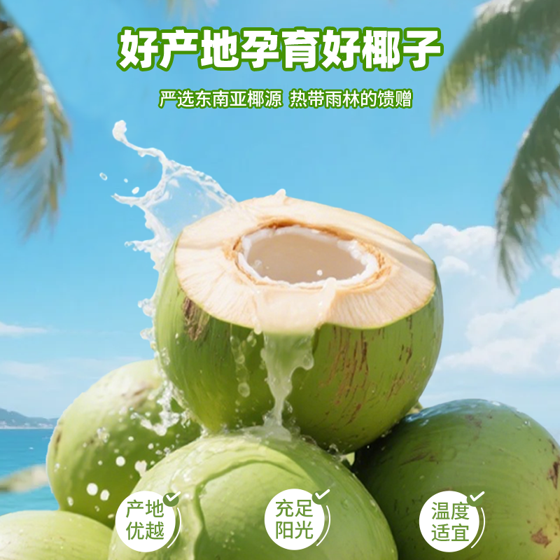 颜小萌椰子水0脂肪便携清爽解腻天然电解质饮品网红高颜值饮料整箱 椰子水250ml*10盒