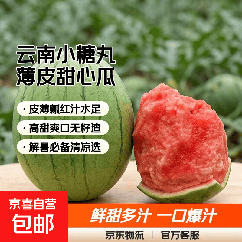 云南小糖丸2k西瓜薄皮小糖丸西瓜新鲜水果 净重1.5-2斤