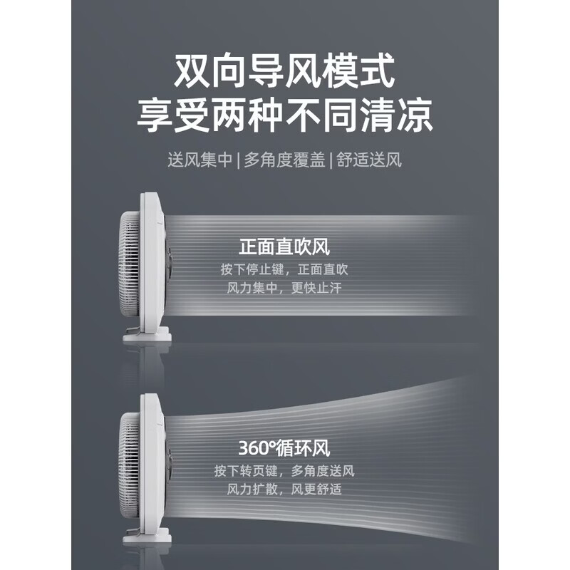 钻石牌(DIAMOND)钻石电风扇台式家用转页扇静音台扇学生鸿运扇床上小风扇宿舍电扇 12英寸升级款【带定时 带倒停】