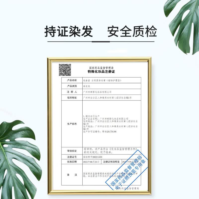 纯春堂染发剂植物黑发泡泡染一洗染黑草本染发膏 棕色染发膏400ml（不含赠品）