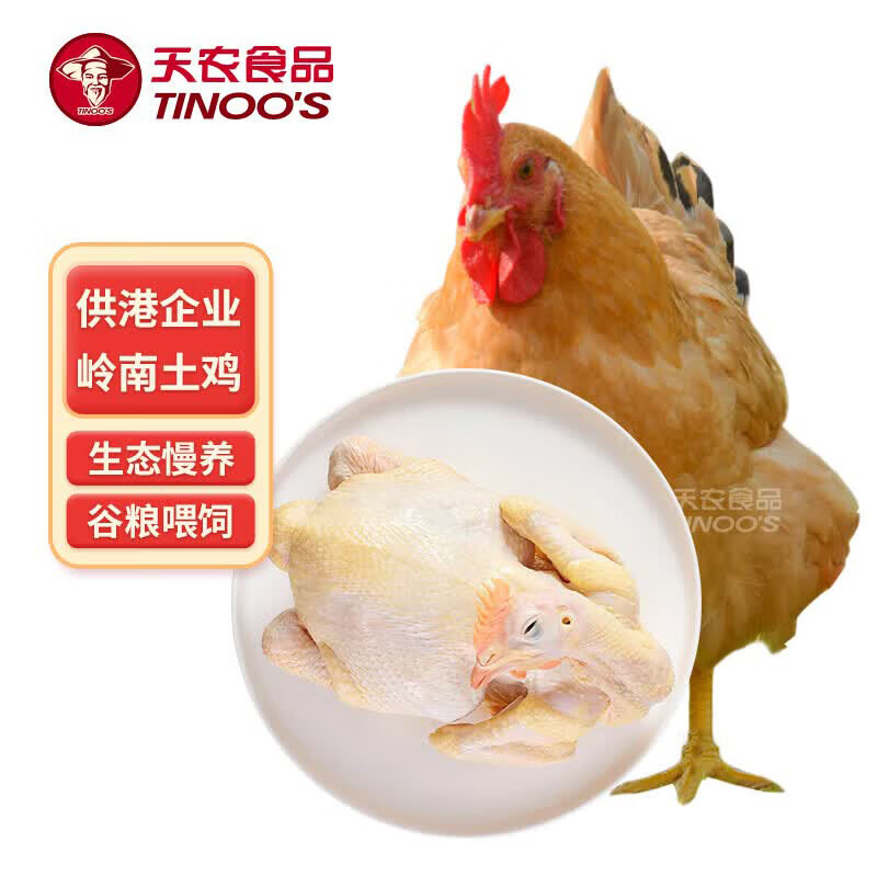 天农 供港土鸡跑山鸡 2.4斤 山林散养清远走地鸡 冷冻 红烧煲汤食材