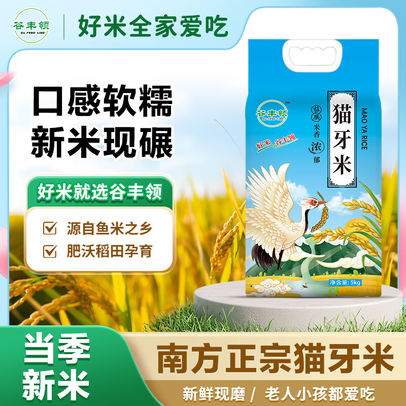 谷丰领20斤猫牙米2025年新大米优选长粒鲜现磨现一级1斤大米 【10斤】-长粒香猫牙米